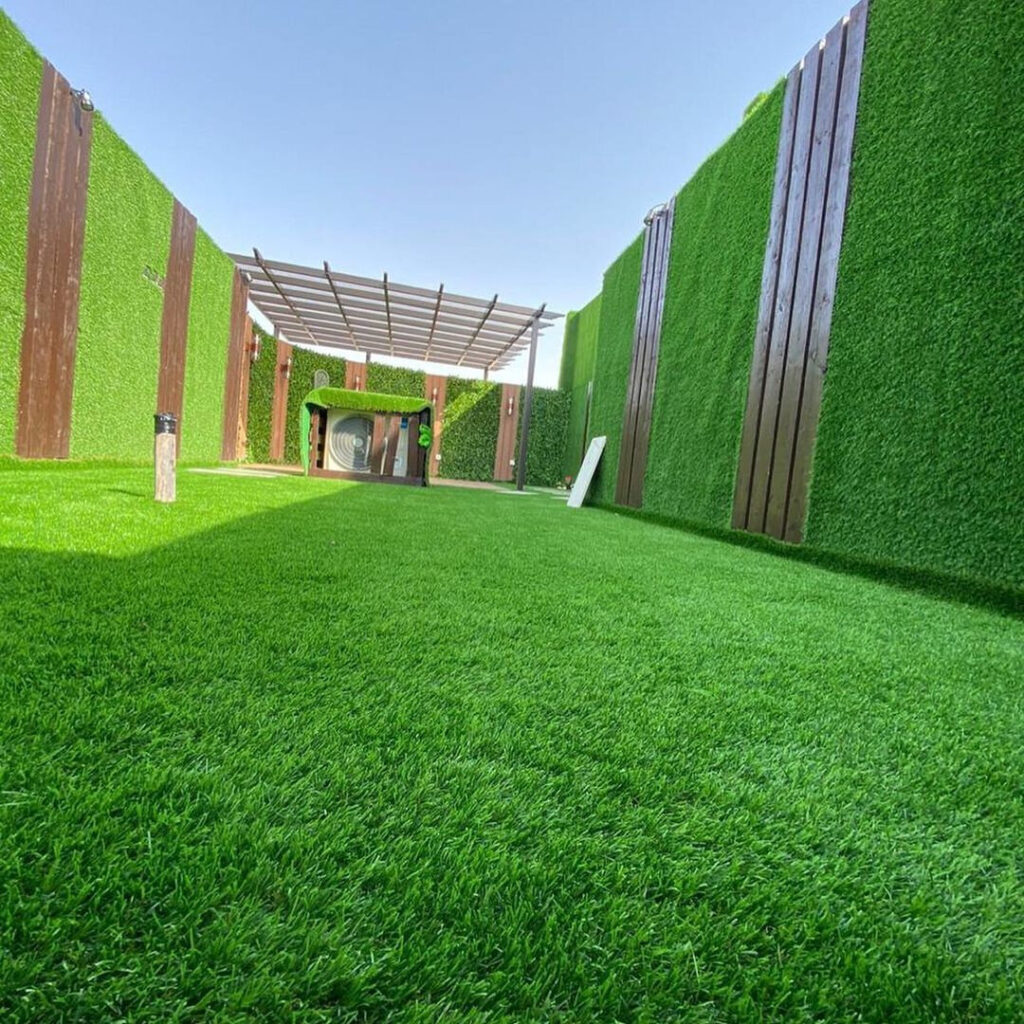 whatsapp image 2022 05 10 at 7.46.01 pm