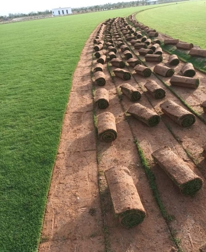 WhatsApp Image 2025 09 27 At 5.50.07 PM5 1